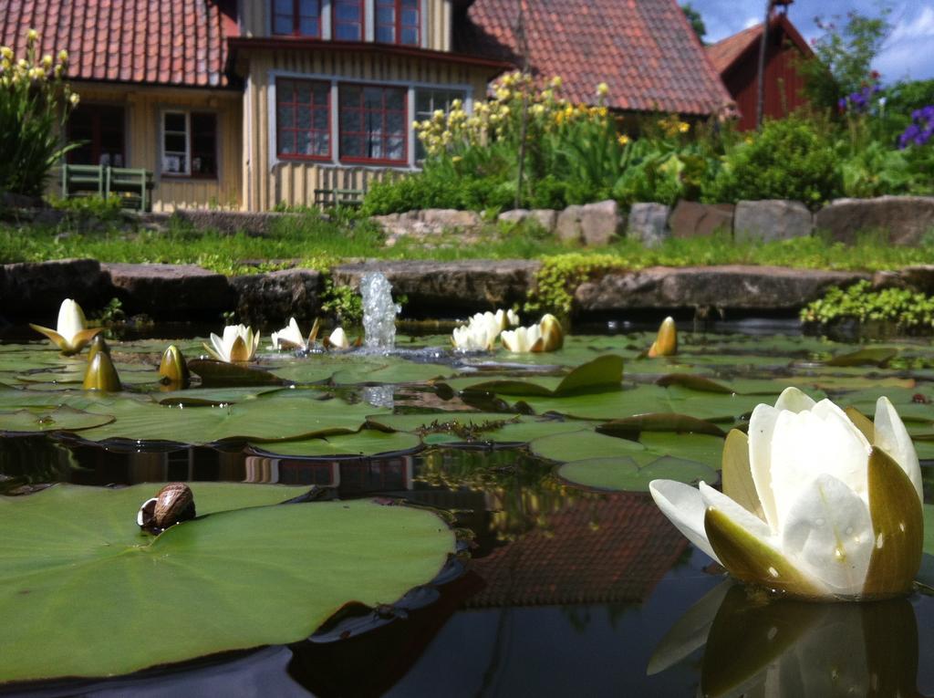Vildrosor & Hoens Hagstad Exteriér fotografie
